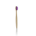 Wholesale protection disposable hotel bamboo toothbrush